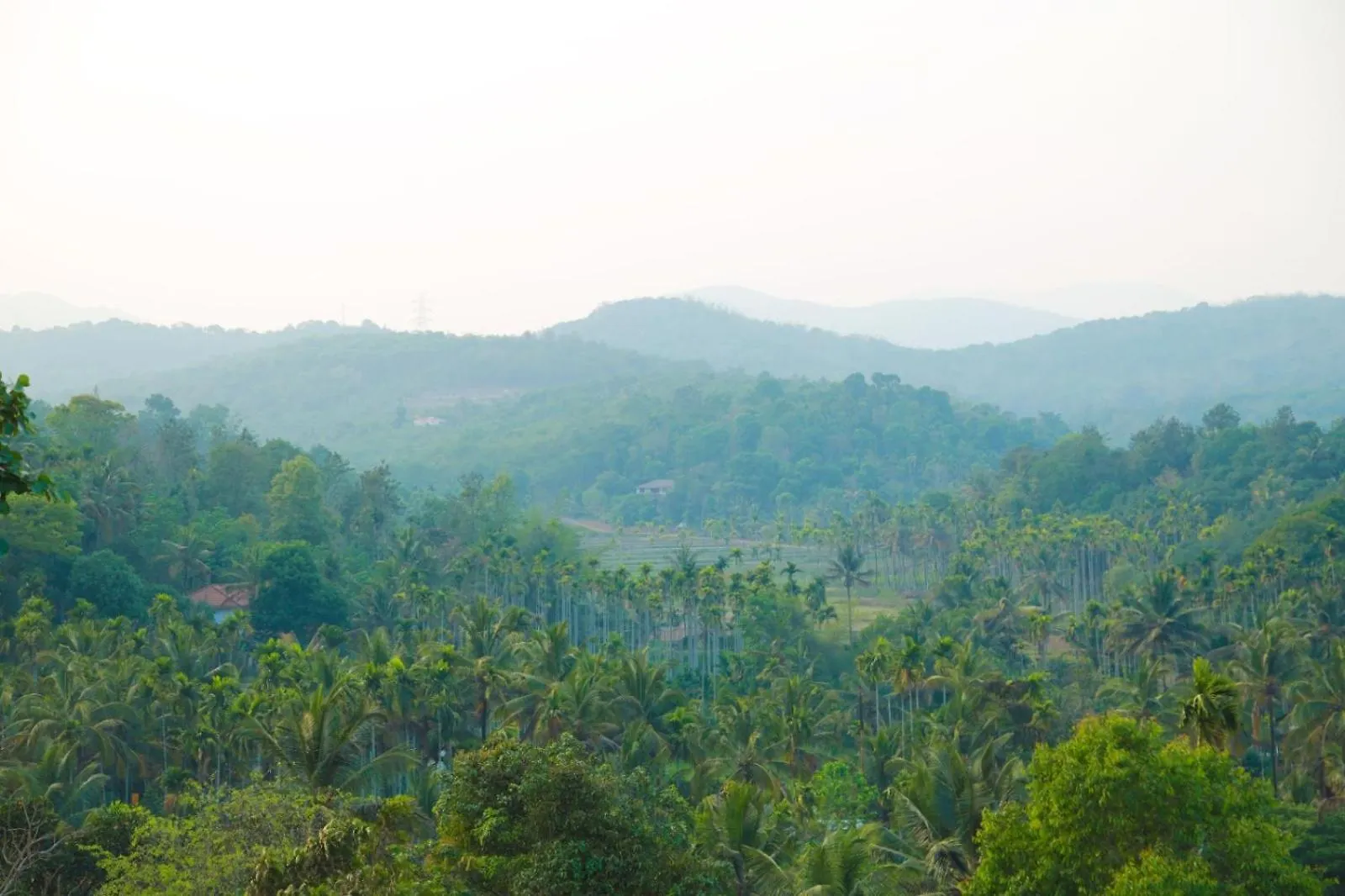 Ponpara Home Stay Mananthavady 0*,  India