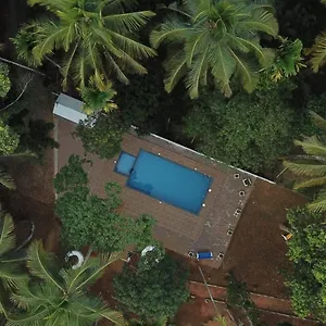 Paddyfield Bed & Breakfast