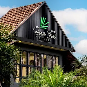 Fern Tree Hotel